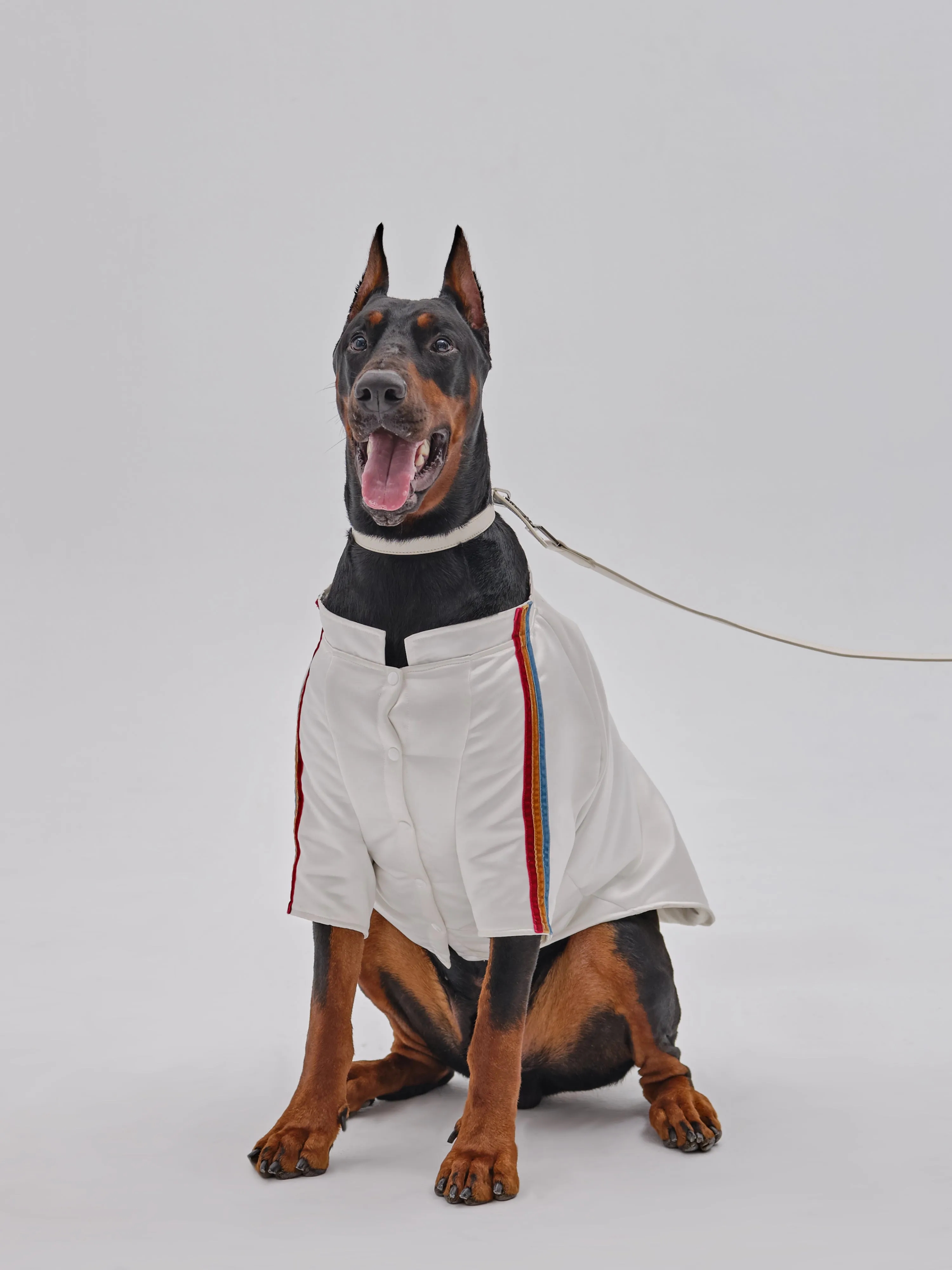 PET VELVET STRIPED JACKET