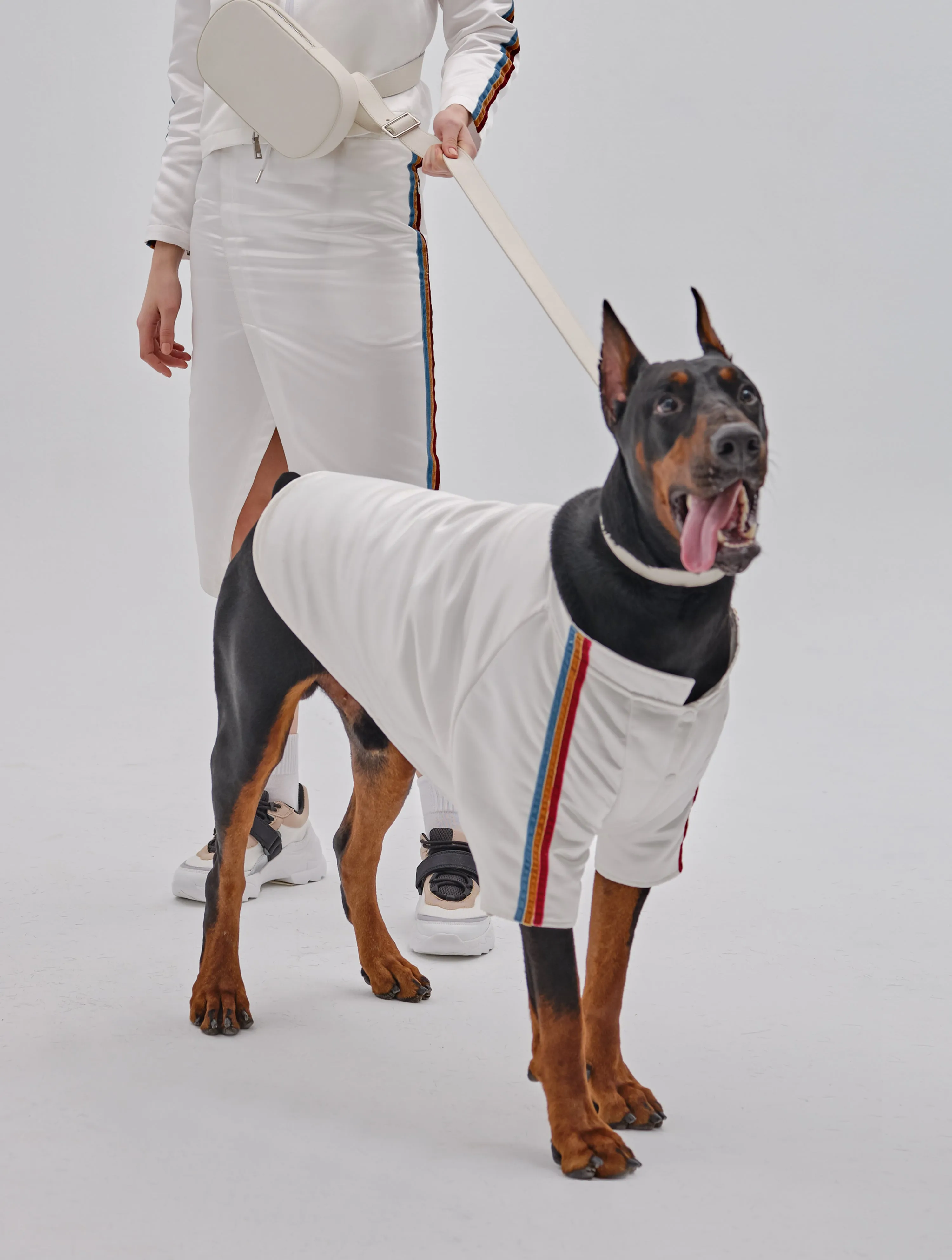 PET VELVET STRIPED JACKET