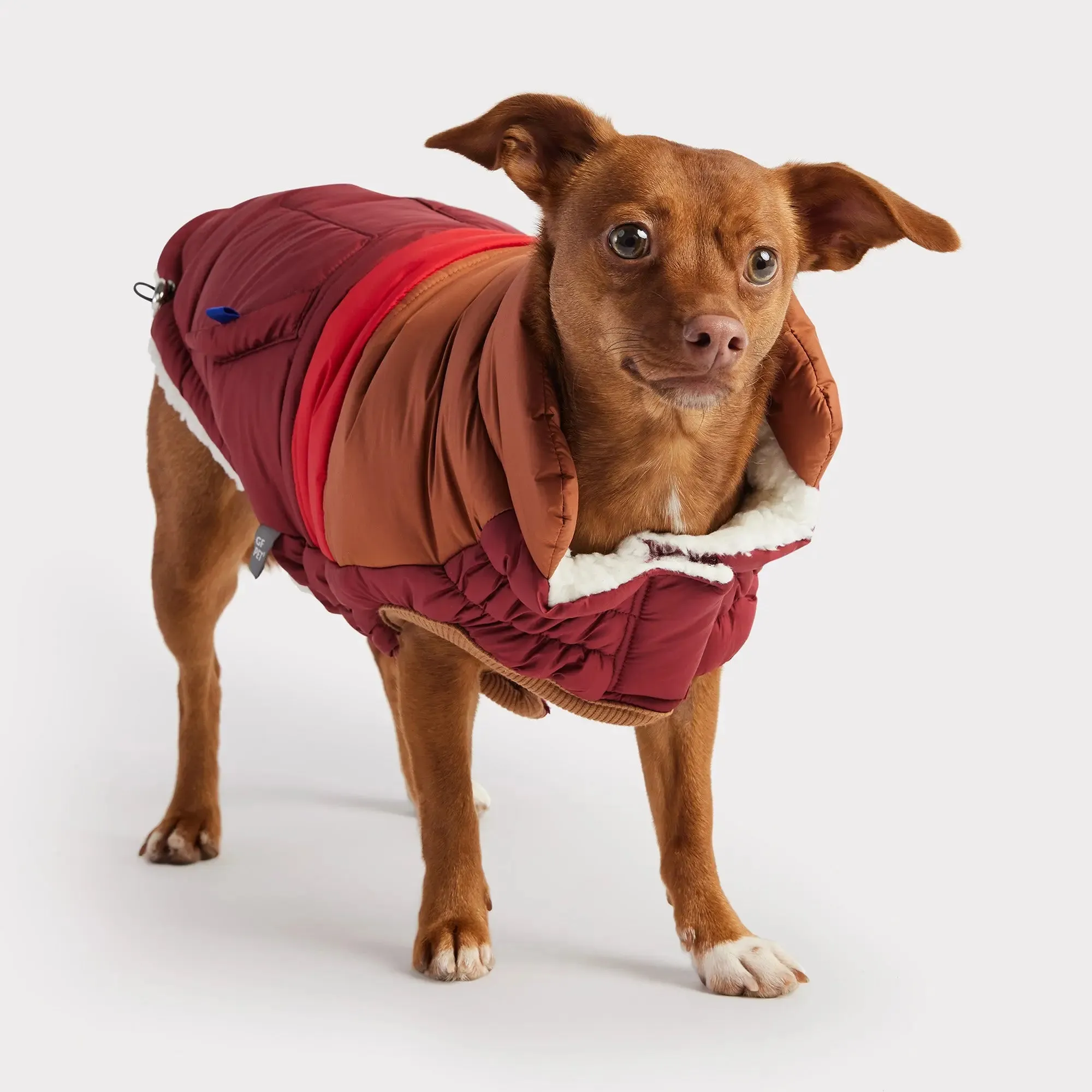 Retro Dog Puffer | Dark Red