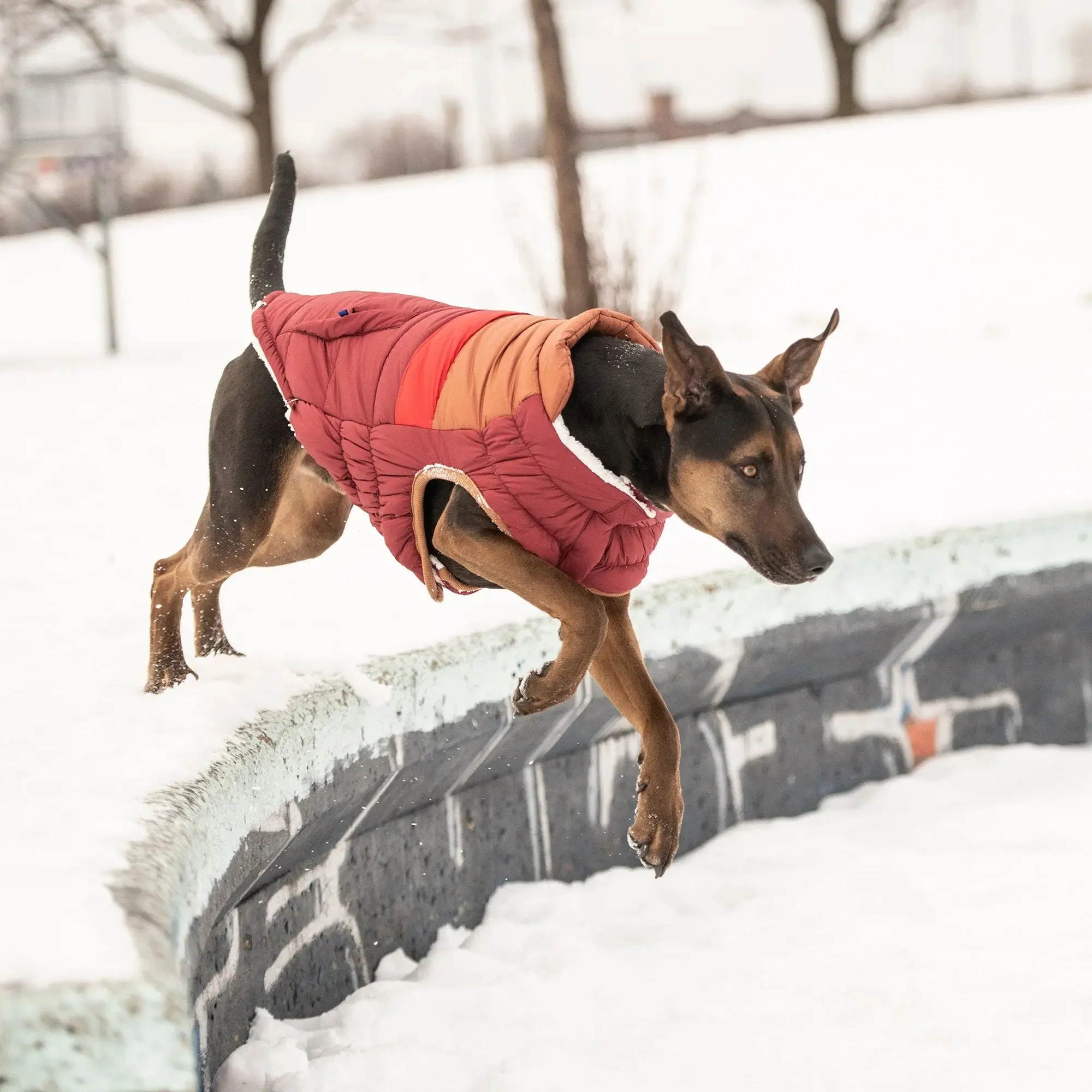 Retro Dog Puffer | Dark Red