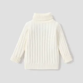 Toddler Girl/Boy Turtleneck Ribbed Knit Sweater